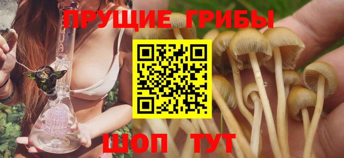 Галлюциногенные грибы прущие грибы  Вход с VPN  Галлюциногенные грибы Psilocybine cubensis  Арзамас 